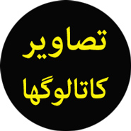 کاتالوگ دزدگیر هگزا